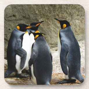 King Penguin Coaster