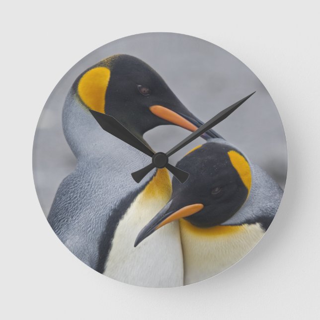 King Penguin Duet Clock (Front)