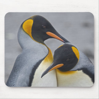 King Penguin Duet Mousemat