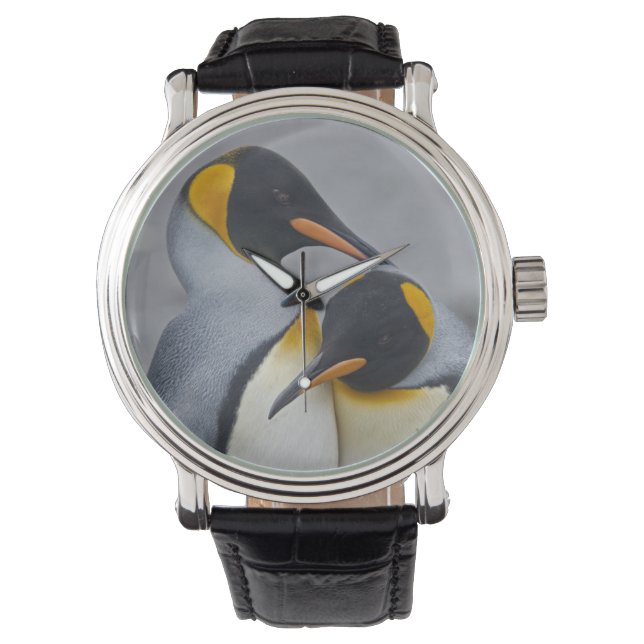 King Penguin Duet Watch (Front)