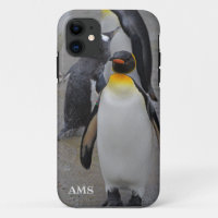 King Penguin & Friends Edinburgh Zoo Scotland