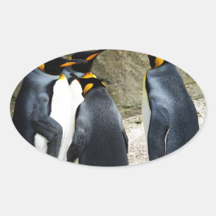 King Penguin Oval Sticker