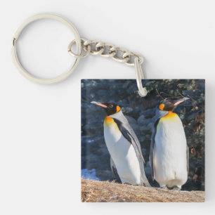King Penguin Pair Against Wintry Backdrop Key Ring