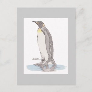 King Penguin Postcard