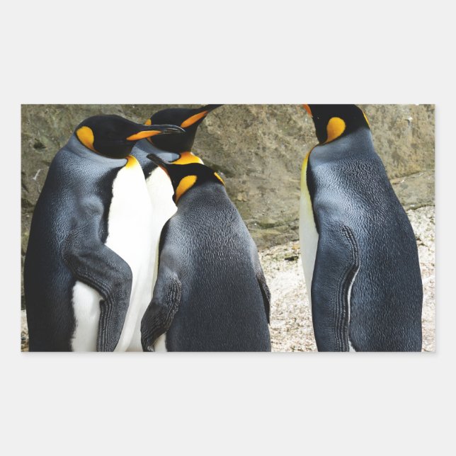 King Penguin Rectangular Sticker (Front)