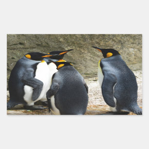 King Penguin Rectangular Sticker