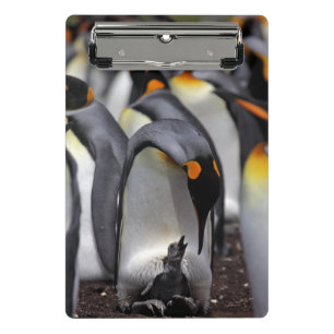 King Penguin with Chick Mini Clipboard