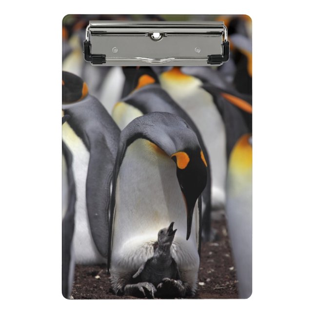 King Penguin with Chick Mini Clipboard (Front)