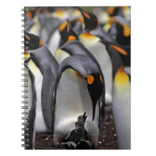 King Penguin with Chick Notebook