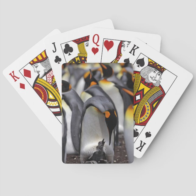 King Penguin with Chick Playing Cards (Back)