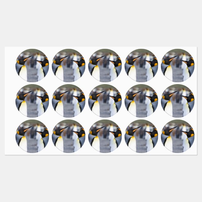 King Penguins (Sheet)