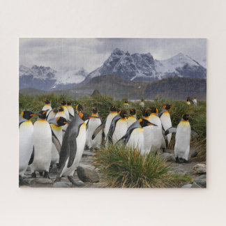 King Penguins and Mountains on South Georgia Jigsaw Puzzle