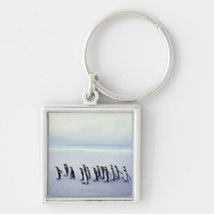 King penguins (Aptenodytes patagonicus) Key Ring