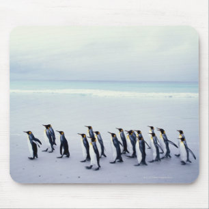 King penguins (Aptenodytes patagonicus) Mouse Mat
