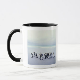 King penguins (Aptenodytes patagonicus) Mug
