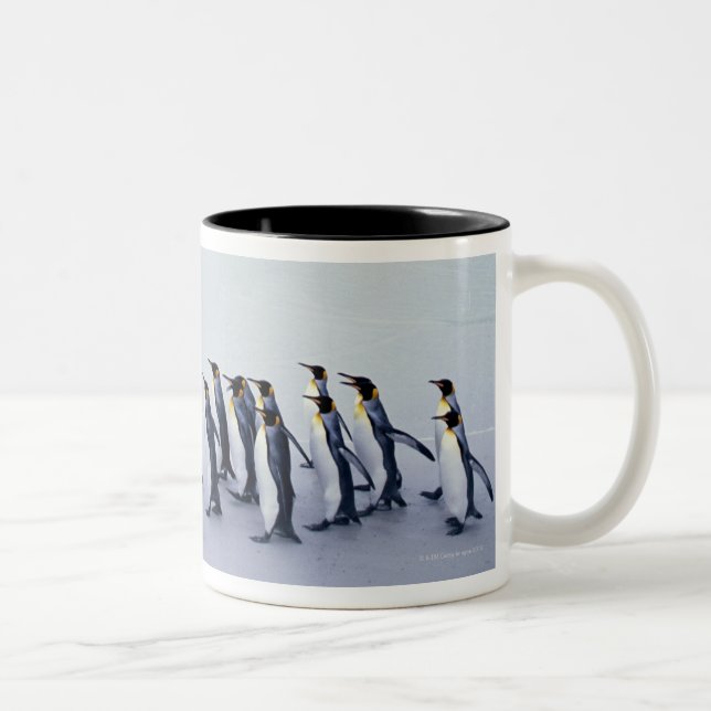King penguins (Aptenodytes patagonicus) Two-Tone Coffee Mug (Right)