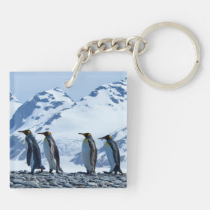 King Penguins at South Georgia Key Ring