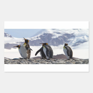 King Penguins at South Georgia Rectangular Sticker