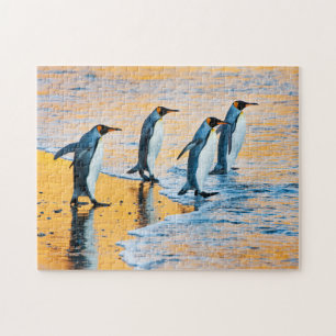 King penguins at sunrise jigsaw puzzle