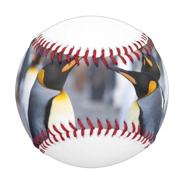 King Penguins Baseball (Front)