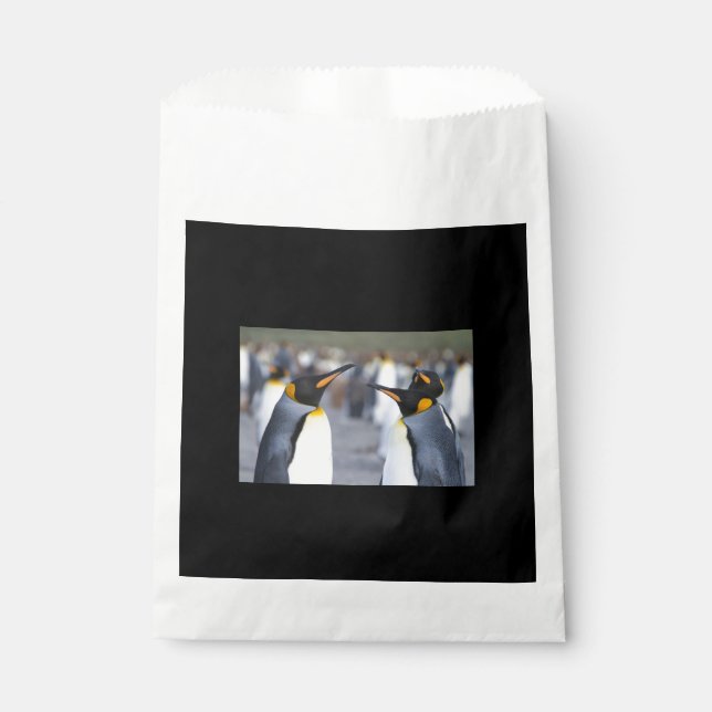 King Penguins Favour Bags (Front)