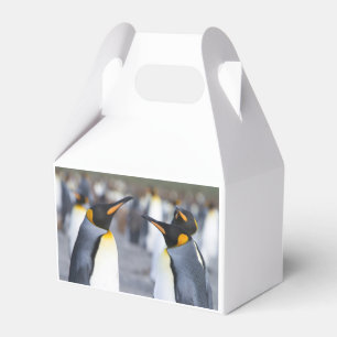 King Penguins Favour Box
