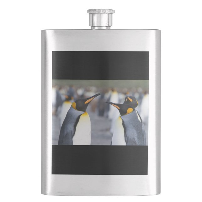 King Penguins Hip Flask (Front)