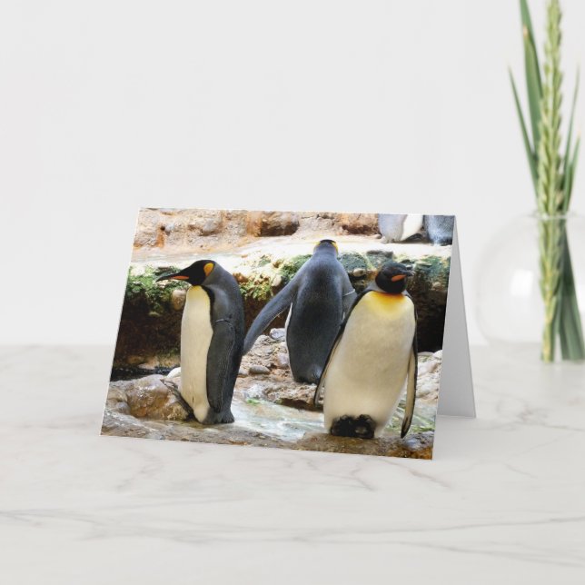 King Penguins Holiday Card (Front)