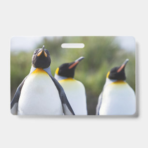 King penguins ID badge