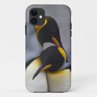 King Penguins in Love iPhone 5 Case-Mate Case