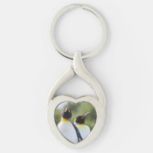 King penguins key ring