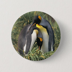 King penguins Lovers 6 Cm Round Badge