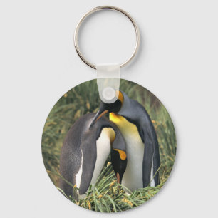 King penguins Lovers Key Ring