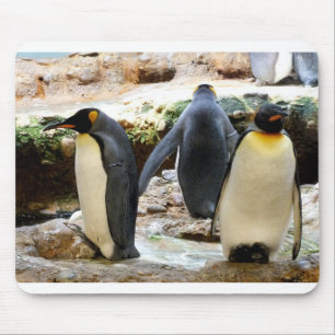 King Penguins Mouse Mat