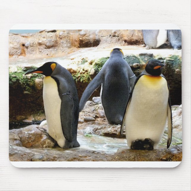 King Penguins Mouse Mat (Front)
