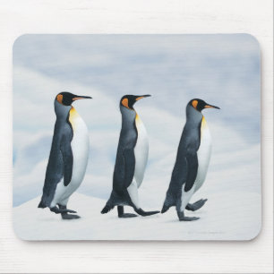 King Penguins walking in single file Mouse Mat