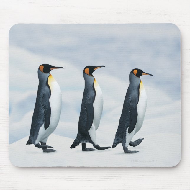 King Penguins walking in single file Mouse Mat (Front)