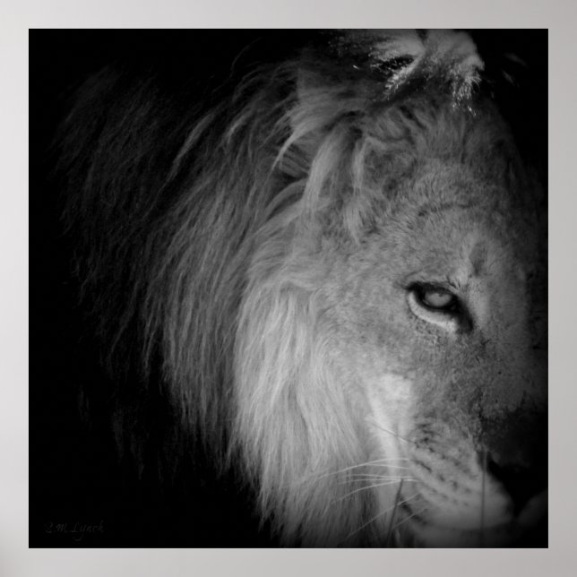 King Pride Poster (Front)