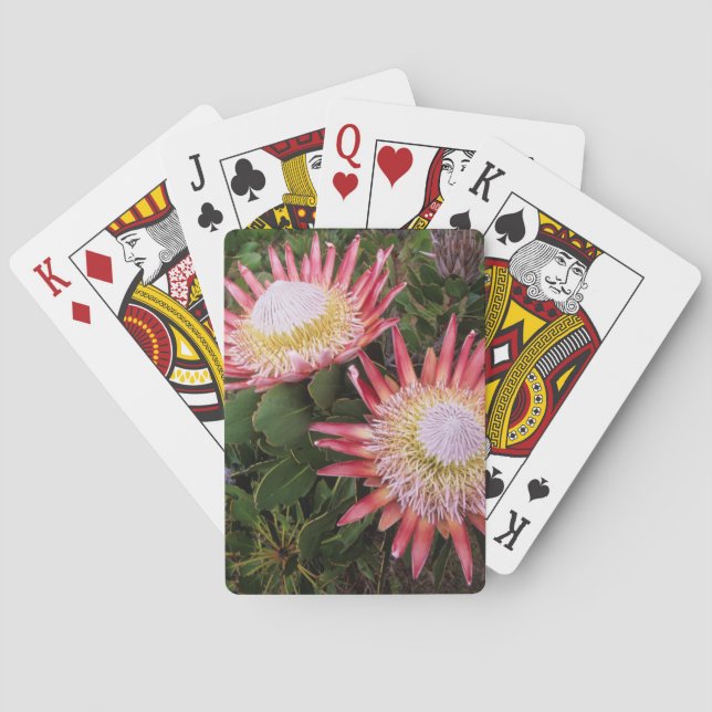 King Protea (Protea Cynaroides), Helderberg Playing Cards (Back)