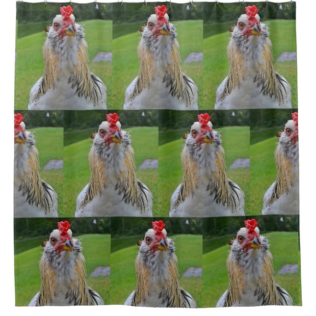 King Rooster Shower Curtain (Front)