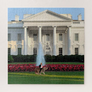 King Trump Puzzle