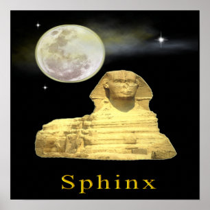 King Tut and Egypt Poster