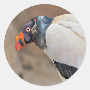 King Vulture Classic Round Sticker