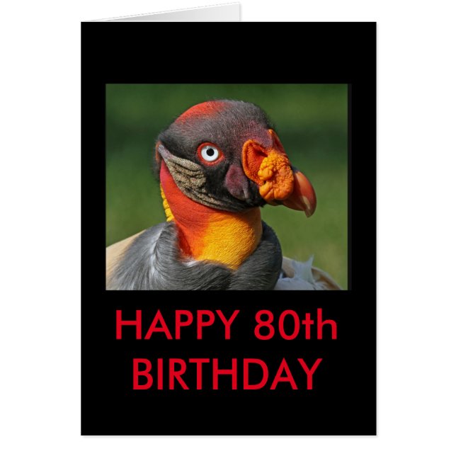 King Vulture - Happy 80th (Front)