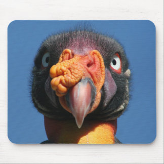 King Vulture Ugly Bird Mousepad