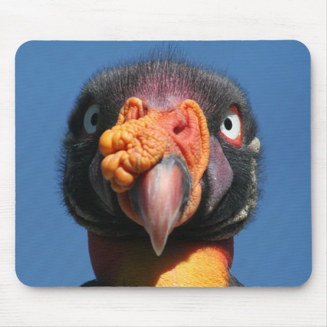 King Vulture Ugly Bird Mousepad (Front)