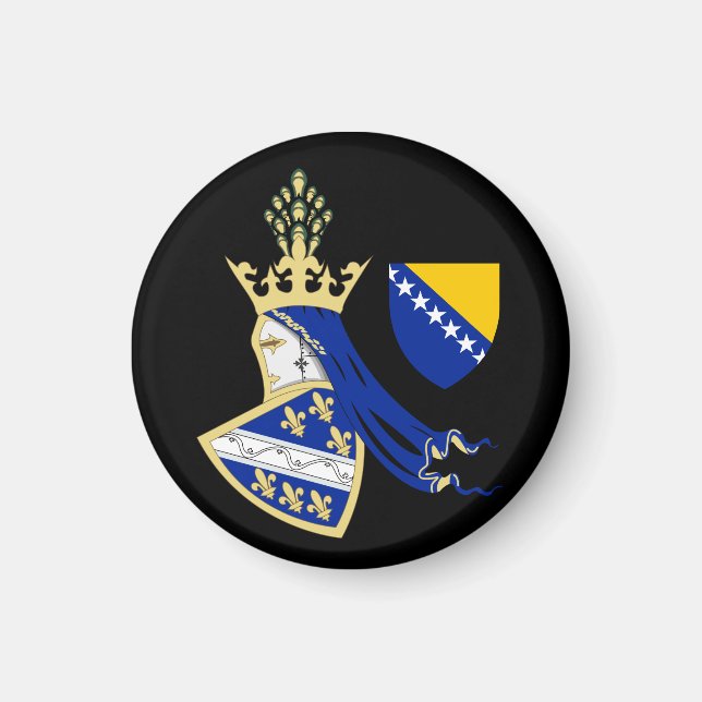 Kingdom of Bosnia coat of arms Magnet (Front)