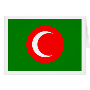 Kingdom of Kurdistan Flag (1922-1924, 1925)