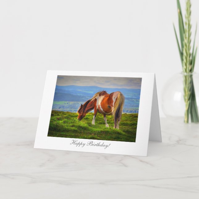 Kingdom of the Pony - Happy Birthday Card (Front)
