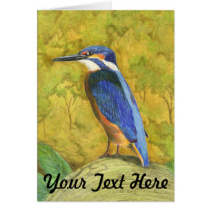 Kingfisher